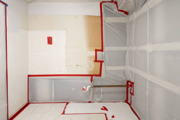 Trusted Calistoga, CA Mold Removal Experts