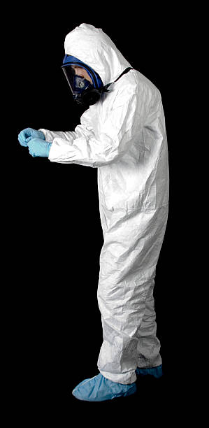 Environmental Consulting for Mold Prevention in Calistoga, CA