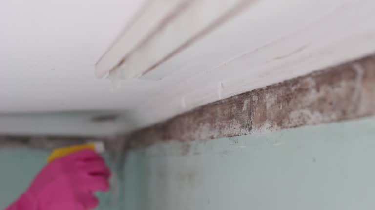 Best Post-Remediation Verification Testing  in Listoga, CA